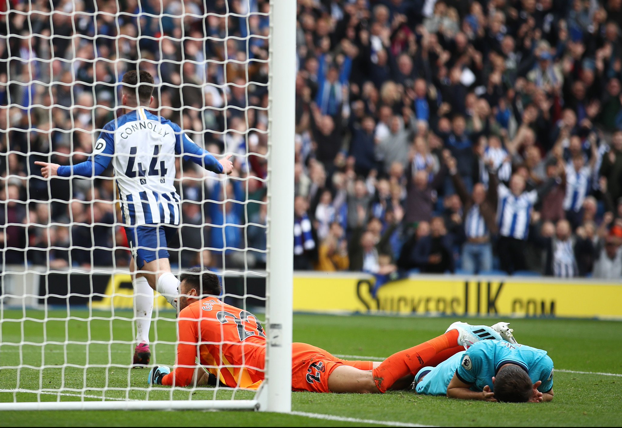 无疑显示出 无疑显示出